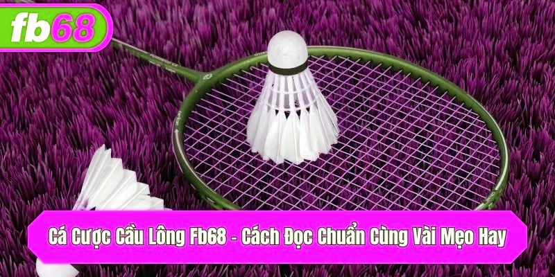 cá cược cầu lông x5bet