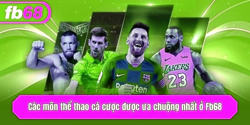 Các môn thể thao cá cược được ưa chuộng nhất ở x5bet